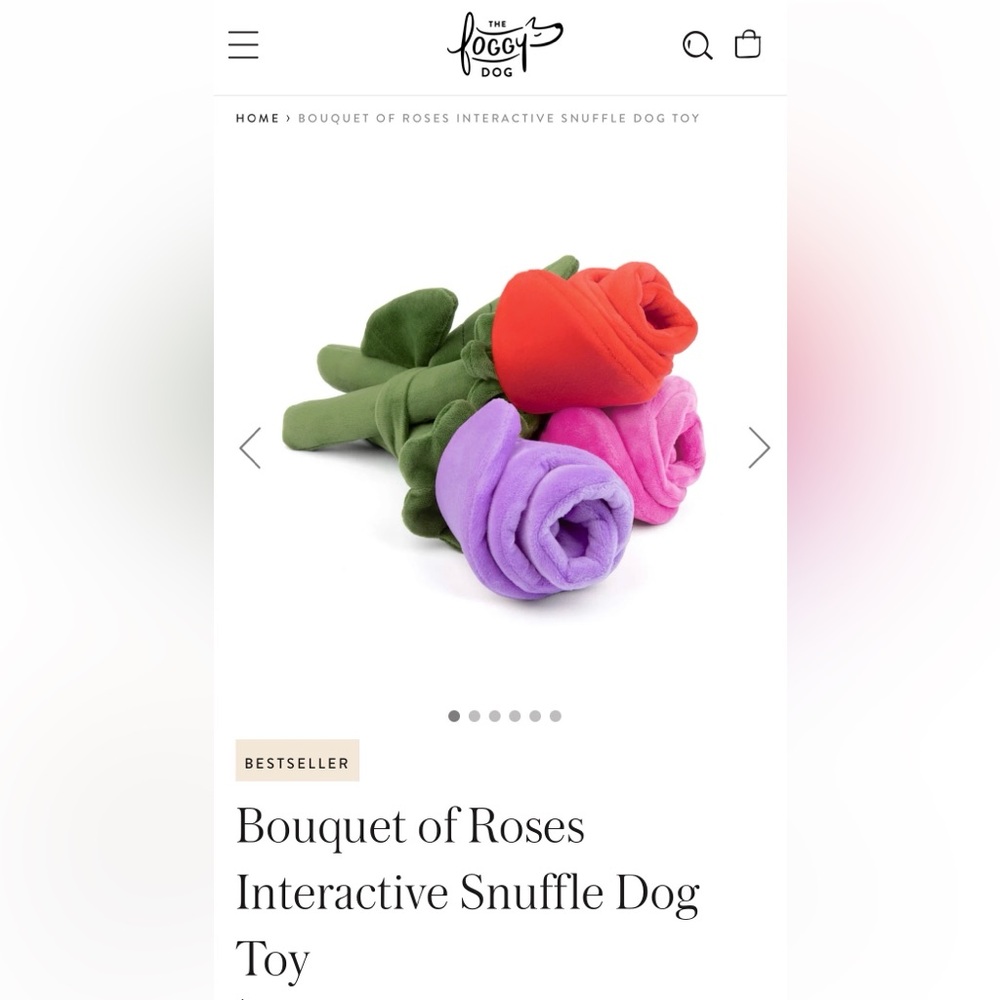🐶 NWOT ‘The Foggy Doggy’ Rose Snuffle Toy